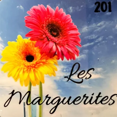 Maison Des Fleurs T2 Cosy La Terrasse  Exterior foto