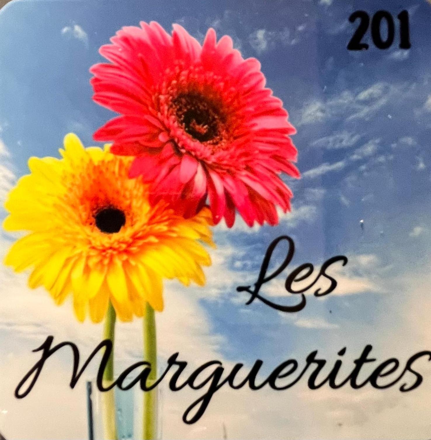Maison Des Fleurs T2 Cosy * La Terrasse (Isere)